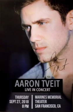 Aaron Tveit poster
