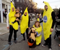 Bananas and Monkeys